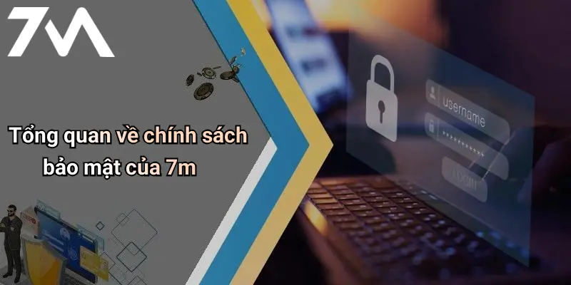 Tổng quan về chính sách bảo mật của 7m
